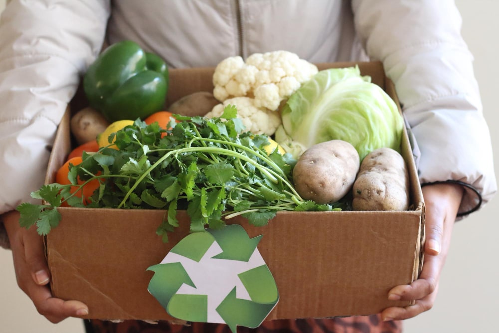 ecologico