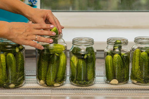 pickle in a jar