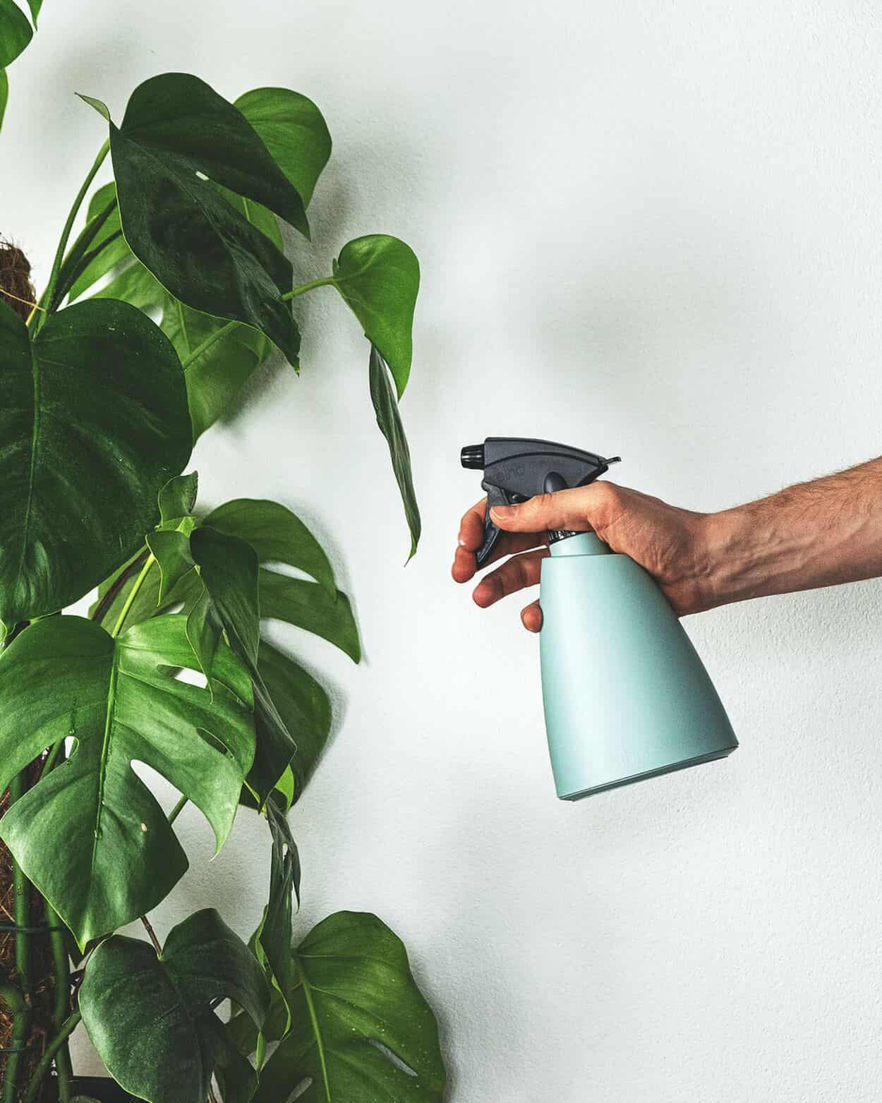 spray-your-plants
